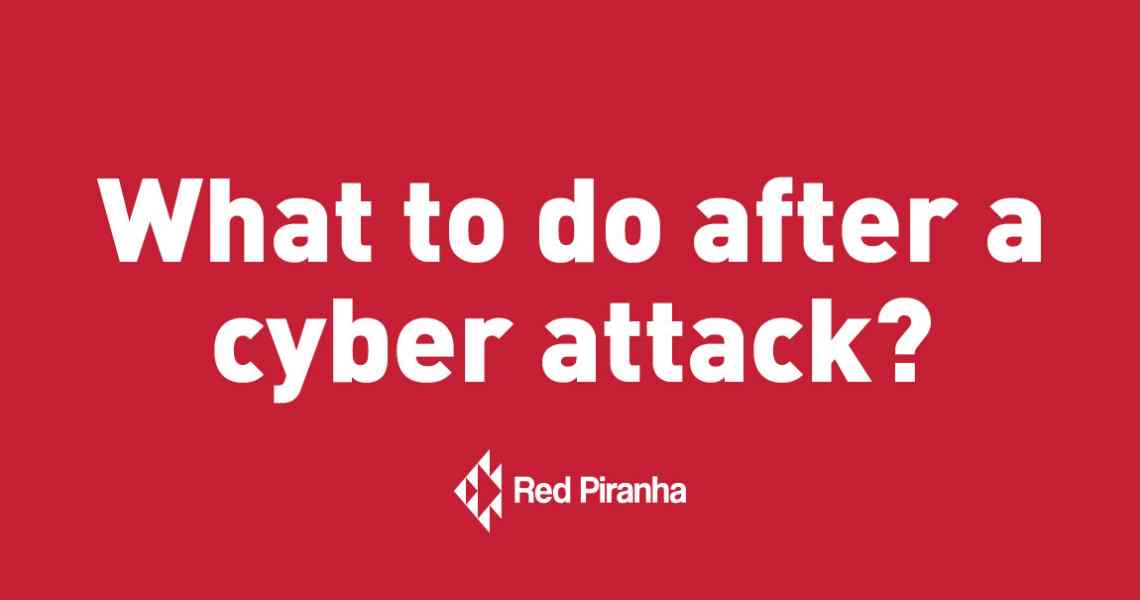 What to do after a cyber attack?