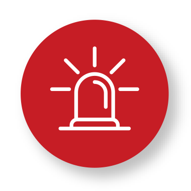 Intrusion Detection and Prevention System Icon
