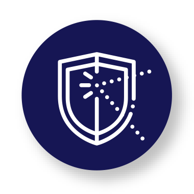 Vulnerability Assessment Icon